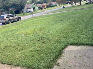Tarek A.'s lawn care service result
