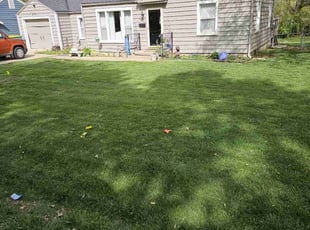 Burton S.'s lawn care service result