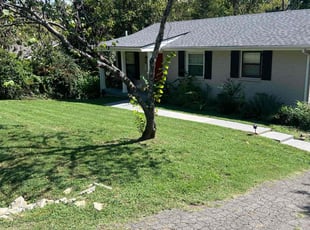 Benjamin S.'s turf care service result