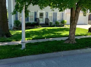 Misti E.'s grass cutting service result
