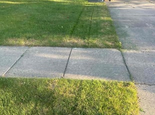 Michael G.'s turf maintenance service result