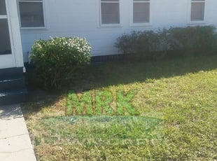 Jason J.'s Bush Trimming service result