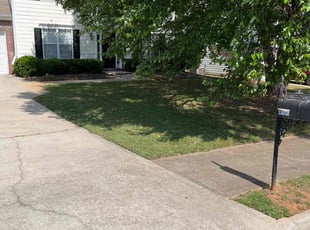 Fred D.'s lawn care service result