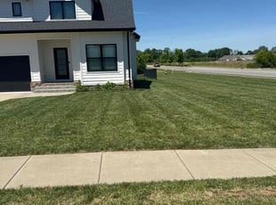 Christopher M.'s grass maintenance service result