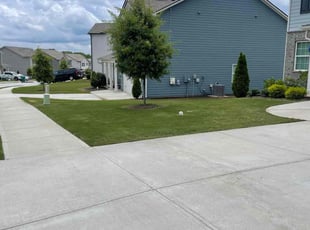 Jose G.'s grass maintenance service result