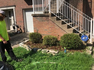 Cecil C.'s Bush Trimming service result