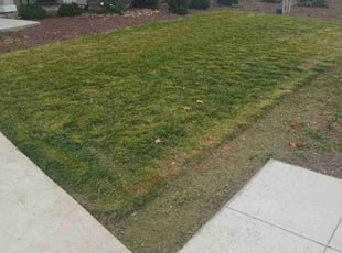 Juan H.'s turf care service result