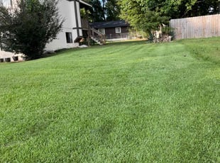 Cynthia C.'s grass maintenance service result
