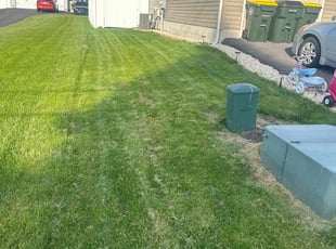 Tee D.'s grass cutting service result