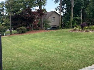 Emily M.'s lawn service service result