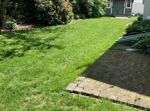 Amy D.'s turf maintenance service result