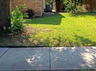 Aaron B.'s lawn care service result