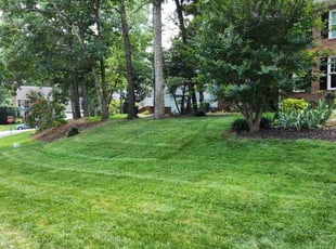 Clifford K.'s lawn maintenance service result