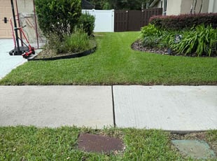 Katharine B.'s lawn care service result