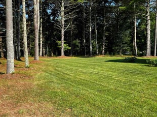 Lucas A.'s grass maintenance service result