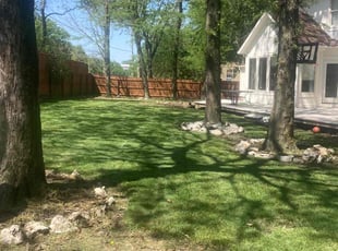 paul s.'s grass maintenance service result