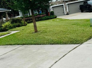 Craig R.'s turf maintenance service result