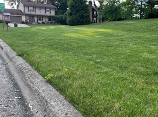 Jenea A.'s lawn service service result