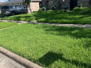 Matt V.'s lawn care services service result