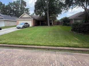 Tania B.'s turf care service result