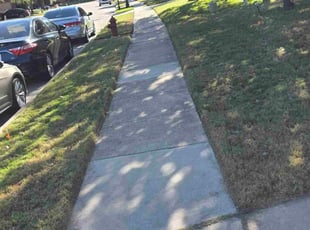 Michael D.'s grass maintenance service result