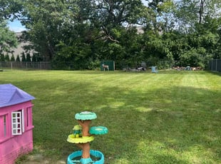 Joann H.'s turf care service result