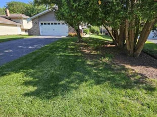 Ginny C.'s lawn service service result