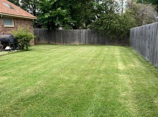 Denise T.'s lawn service service result