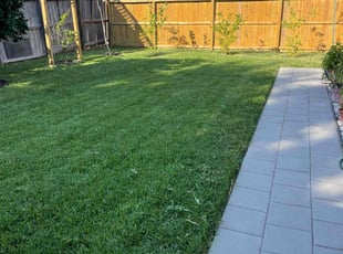 John G.'s lawn care service result