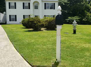 Greg T.'s lawn care service result