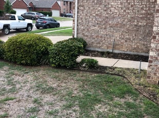 Marilyn W.'s Bush Trimming service result