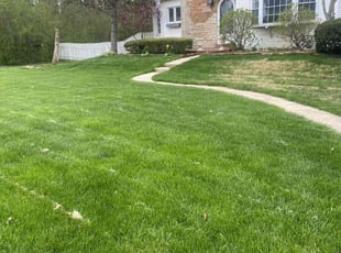 Melinda C.'s lawn maintenance service result