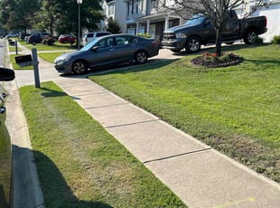 Jeremy Z.'s grass cutting service result