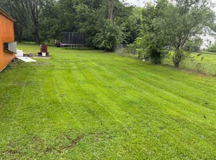 Patricia G.'s turf care service result