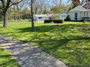 Noemi B.'s grass cutting service result