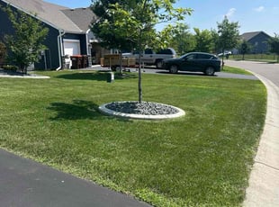 Johnathan M.'s lawn care services service result