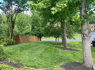 Cynthia W.'s grass maintenance service result