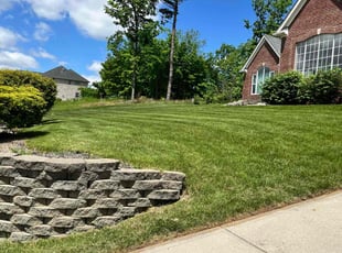 Julie L.'s turf maintenance service result