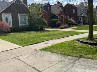 Nancy W.'s lawn maintenance service result