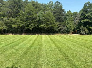 Flora F.'s lawn service service result