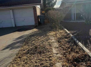 Chris R.'s Bush Trimming service result