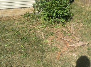 John M.'s Bush Trimming service result
