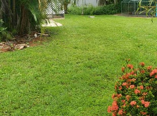 Brent M.'s lawn care services service result