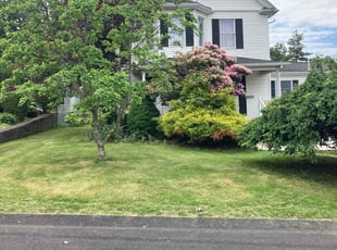 Valencia H.'s lawn care services service result