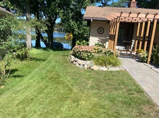 Robin D.'s lawn care service result
