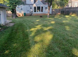 Michael G.'s grass cutting service result