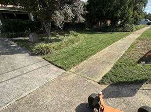 Toni P.'s grass maintenance service result