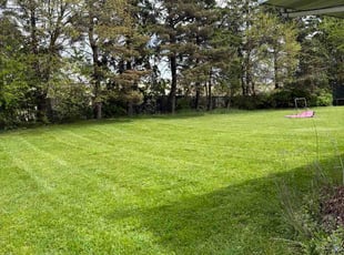 Arlene K.'s turf maintenance service result