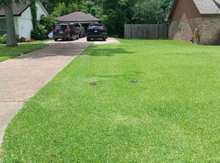 Donna F.'s yard maintenance service result