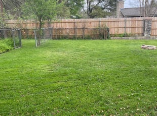 Shelby C.'s grass cutting service result